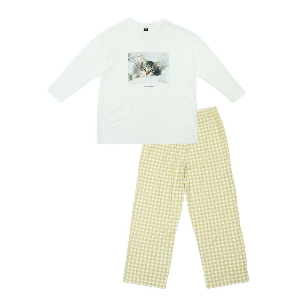 アメリカンショートヘア