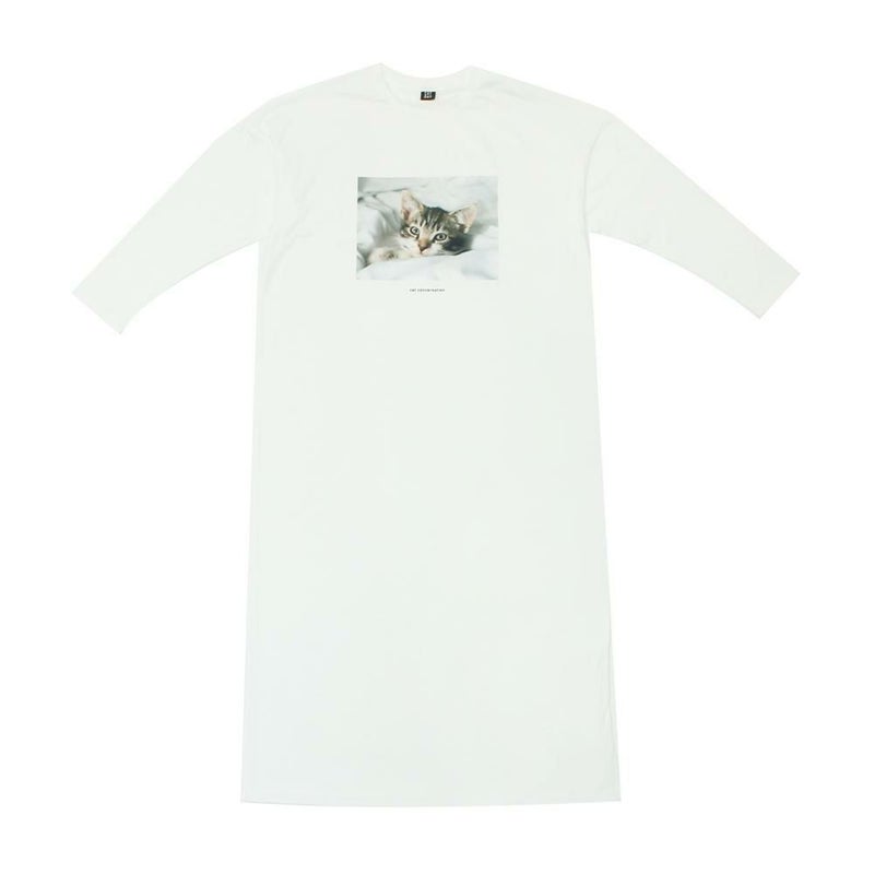 アメリカンショートヘア