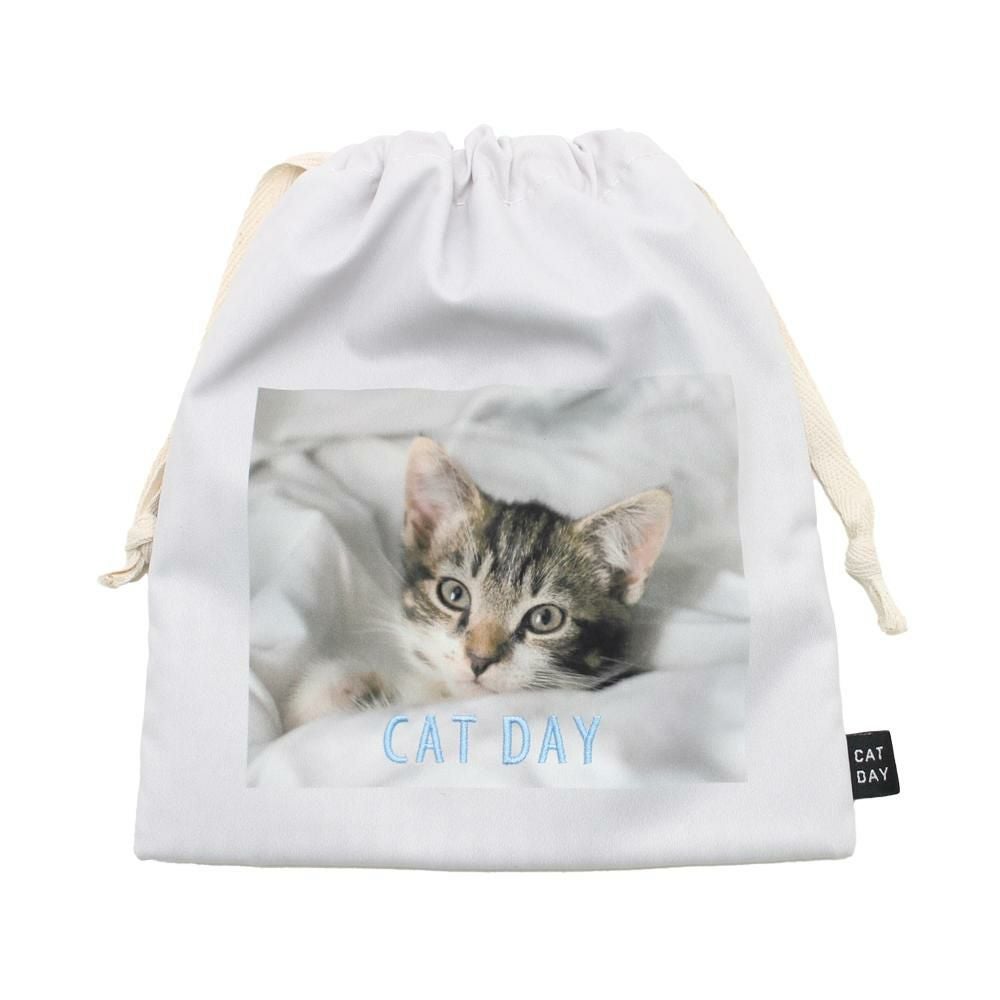 アメリカンショートヘア