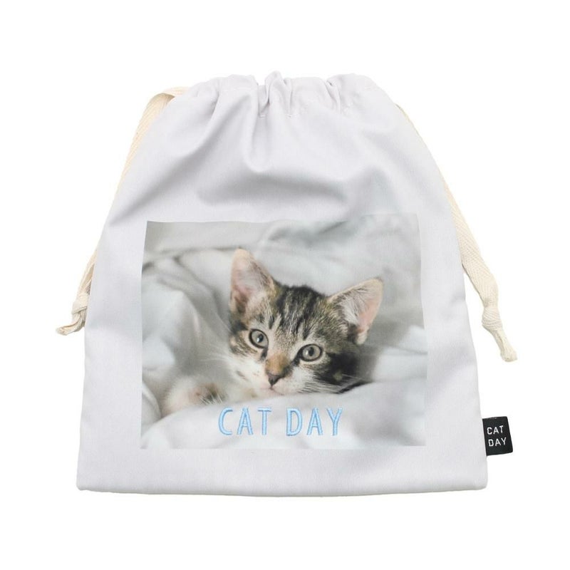 アメリカンショートヘア