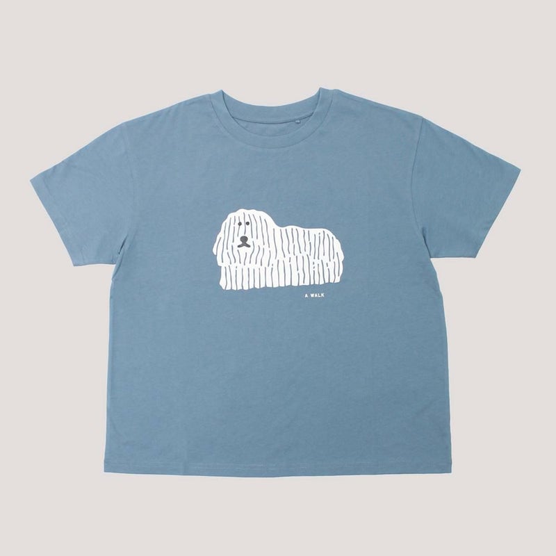 プーリー/ブルー